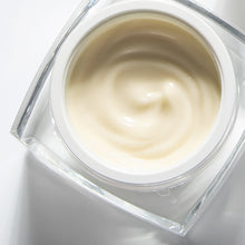 Load image into Gallery viewer, BI-SU Swallow's nest Cream 40g