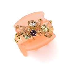 Load image into Gallery viewer, Complex Biz Conus Florida Desert Clip Medium (Pink Mix) 1pcs