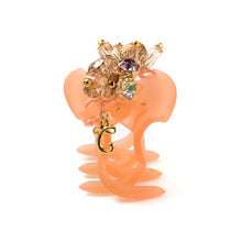 Load image into Gallery viewer, Complex Biz Conus Florida Desert Clip Medium (Pink Mix) 1pcs