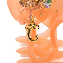 Load image into Gallery viewer, Complex Biz Conus Florida Desert Clip Medium (Pink Mix) 1pcs