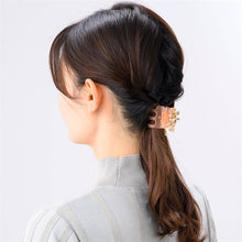 Load image into Gallery viewer, Complex Biz Conus Florida Desert Clip Medium (Pink Mix) 1pcs