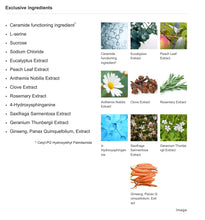 Load image into Gallery viewer, KANEBO FUSION-ING SOLUTION (serum) 60ml