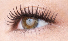 Load image into Gallery viewer, ALBION EXCIA Granforte Mascara