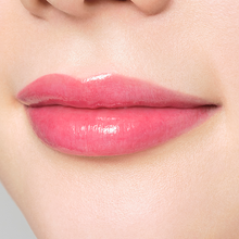 Load image into Gallery viewer, PAUL & JOE LIPSTICK SHEER (case + refill)
