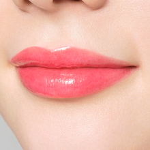 Load image into Gallery viewer, PAUL & JOE LIPSTICK SHEER (case + refill)