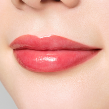 Load image into Gallery viewer, PAUL & JOE LIPSTICK SHEER (case + refill)