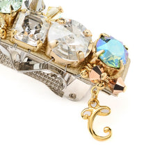 Load image into Gallery viewer, Complex Biz Radially Shine Barrette