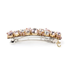 Load image into Gallery viewer, Complex Biz Radially Shine Barrette