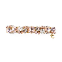 Load image into Gallery viewer, Complex Biz Radially Shine Barrette