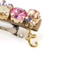 Load image into Gallery viewer, Complex Biz Radially Shine Barrette