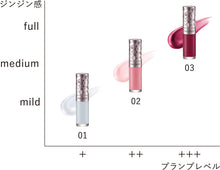 Load image into Gallery viewer, DECORTE Plumping Lip Serum