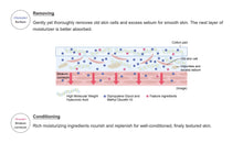 Load image into Gallery viewer, KANEBO RADIANT SKIN REFINER 200ml