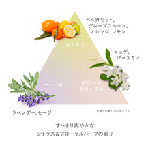 Load image into Gallery viewer, RMK Serum Cleansing Oil