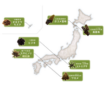 Load image into Gallery viewer, Seaweed Seven Selections Mineral&Fucoidan Supplement 93tablets 31days