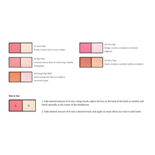 Load image into Gallery viewer, KANEBO VARIANT BROSSE (CHEEKS)