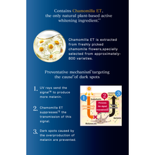 Load image into Gallery viewer, KAO SOFINA White Professional Serum ET