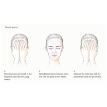 Load image into Gallery viewer, KANEBO THE CREAM 40ml