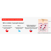 Load image into Gallery viewer, POLA Wrinkle Shot Medical Serum N 20g