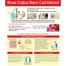 Load image into Gallery viewer, CHIECO (GINZA TOMATO) Rose Placenta®SC 60capsules