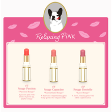 Load image into Gallery viewer, LADURÉE LIP COLOR