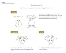 Load image into Gallery viewer, DECORTE AQ ABSOLUTE SCALP & HAIR ENERGIZER