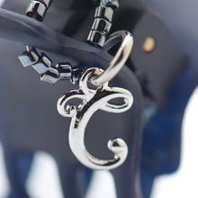 Load image into Gallery viewer, Complex Biz Collected Stone Desert Clip 2pcs set