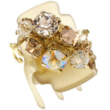 Load image into Gallery viewer, Complex Biz Collected Stone Desert Clip 2pcs set