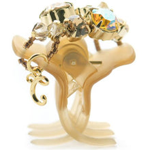 Load image into Gallery viewer, Complex Biz Collected Stone Desert Clip 2pcs set