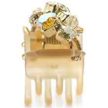 Load image into Gallery viewer, Complex Biz Collected Stone Desert Clip 2pcs set