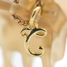 Load image into Gallery viewer, Complex Biz Collected Stone Desert Clip 2pcs set