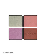 Load image into Gallery viewer, LUNASOL EYE COLORATION