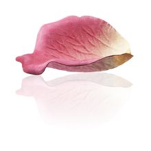 Load image into Gallery viewer, LADURÉE FACE COLOR ROSE LADURÉE POT | Refill