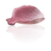 Load image into Gallery viewer, LADURÉE FACE COLOR ROSE LADURÉE POT | Refill