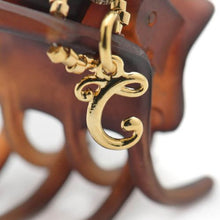 Load image into Gallery viewer, Complex Biz Collected Stone Desert Clip 2pcs set