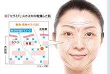 Load image into Gallery viewer, KOBAYASHI Pharmaceutical hifmid Brightening Lotion 120ml