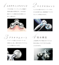 Load image into Gallery viewer, MTG ReFa CARAT Face&Body