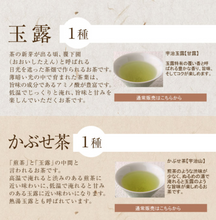 Load image into Gallery viewer, ITOHKYUEMON UJI-CHA 10 types Trial set