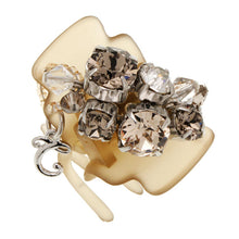 Load image into Gallery viewer, Complex Biz Collected Stone Desert Clip 2pcs set