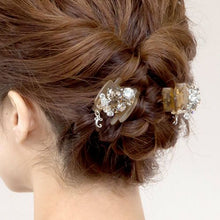 Load image into Gallery viewer, Complex Biz Collected Stone Desert Clip 2pcs set