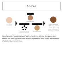 Load image into Gallery viewer, POLA WHITE SHOT SXS N 20ml