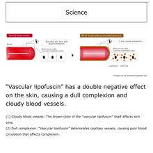 Load image into Gallery viewer, POLA WHITE SHOT SXS N 20ml