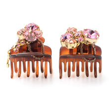 Load image into Gallery viewer, Complex Biz Attractive Shine Whip Clip 2pcs set
