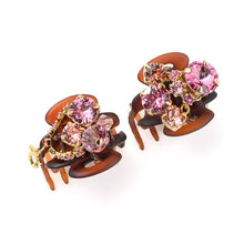 Load image into Gallery viewer, Complex Biz Attractive Shine Whip Clip 2pcs set
