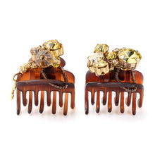 Load image into Gallery viewer, Complex Biz Attractive Shine Whip Clip 2pcs set
