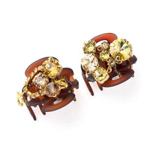 Load image into Gallery viewer, Complex Biz Attractive Shine Whip Clip 2pcs set
