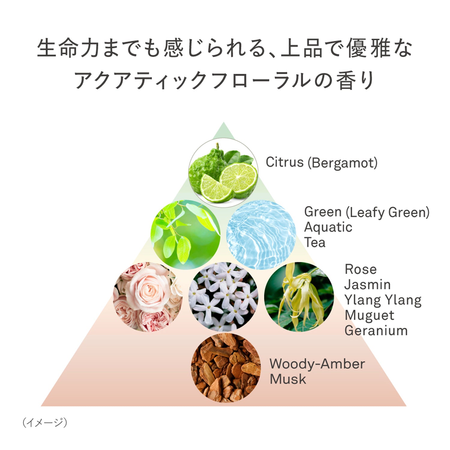 est Clarifying Gel Wash MED 130g – Tokyo on Demand