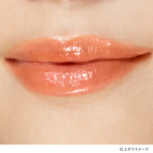 Load image into Gallery viewer, LUNASOL DEWY REFLECT LIP OIL
