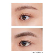 Load image into Gallery viewer, KANEBO DESIGNING EYEBROW LIQUID
