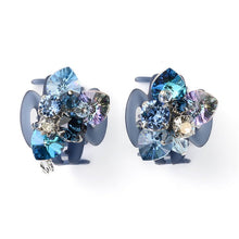 Load image into Gallery viewer, Complex Biz Flower Symphony Whip Clip 2pcs set
