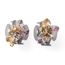 Load image into Gallery viewer, Complex Biz Flower Symphony Whip Clip 2pcs set
